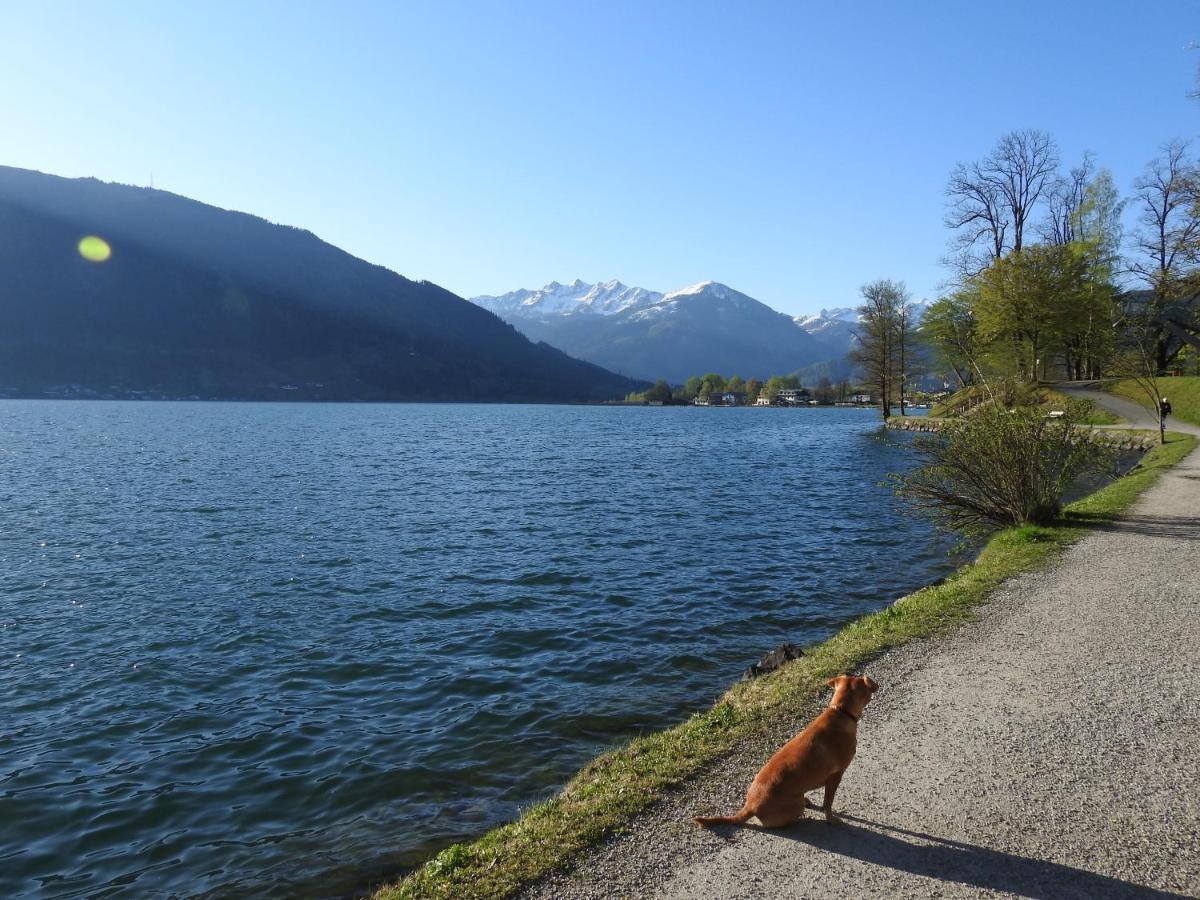 Pension Alpenrose Zell am See Kültér fotó