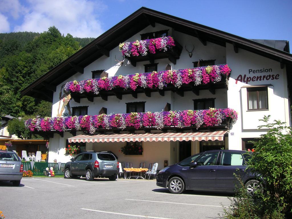 Pension Alpenrose Zell am See Kültér fotó