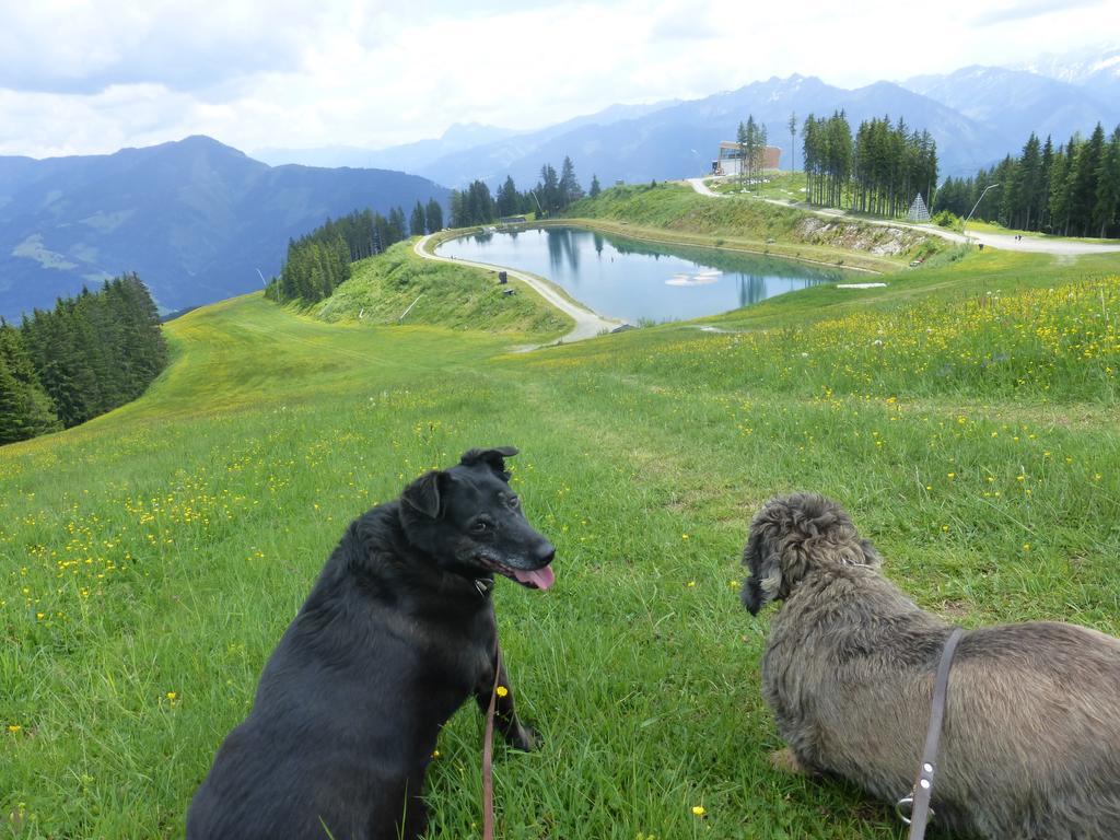 Pension Alpenrose Zell am See Kültér fotó